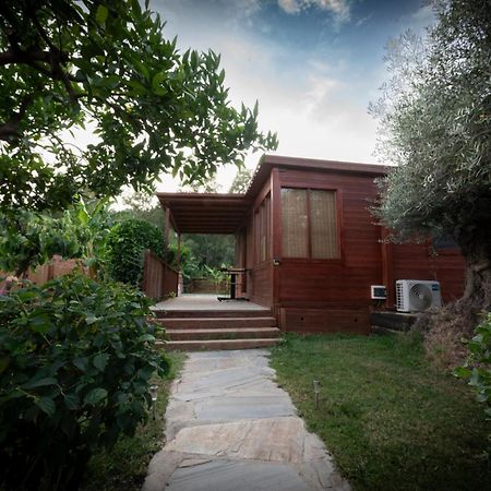 Willa El Jardin Del Eden Orgiva Zewnętrze zdjęcie